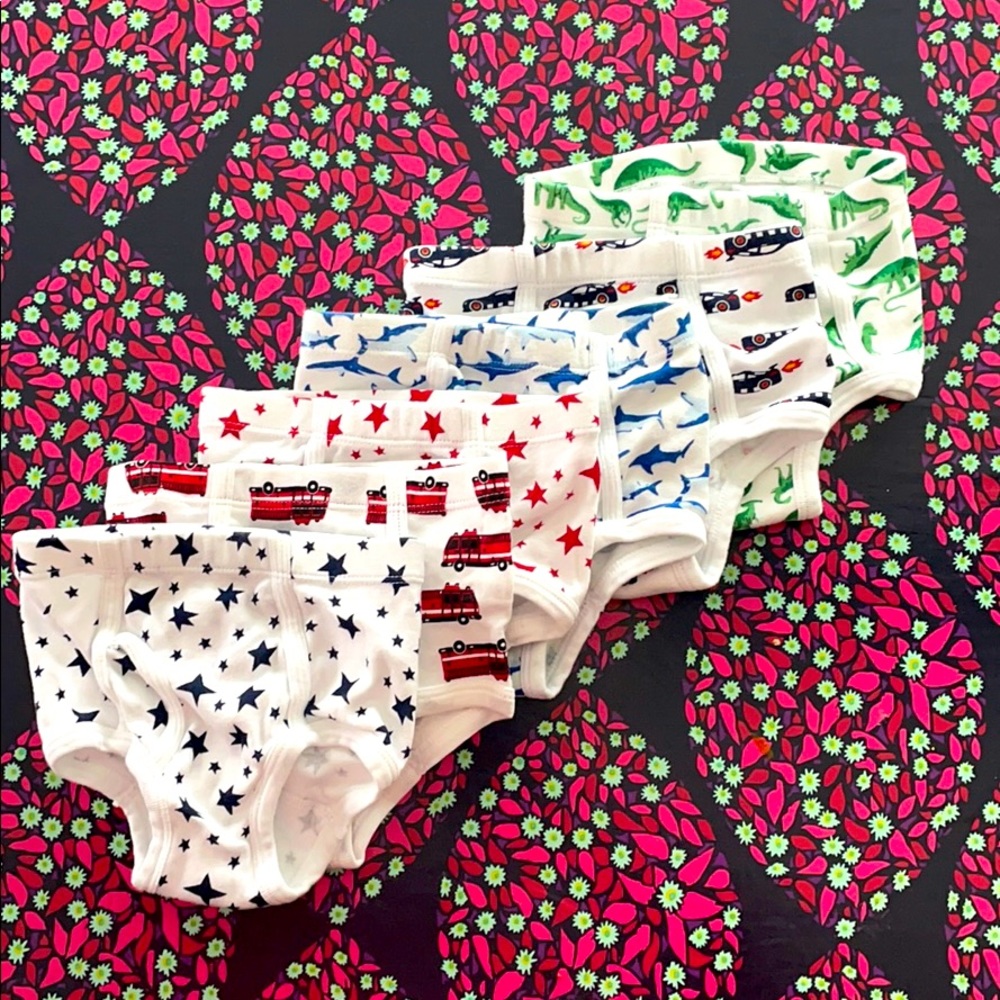 Hanna Anderson boys underwear xs